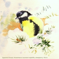 96045423_curina_olga_koketka_v_zimnem_naryade__sinichka_na_snegu__akvarelnuyi_774_risunok_16h12